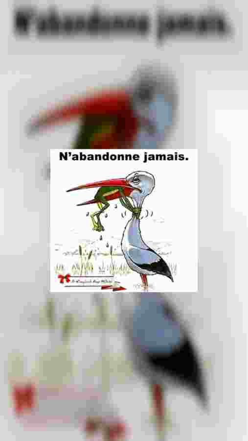 mobile.jpeg